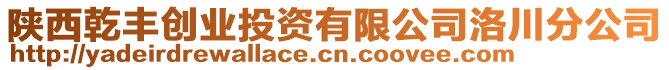 陜西乾豐創(chuàng)業(yè)投資有限公司洛川分公司