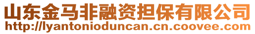 山東金馬非融資擔保有限公司