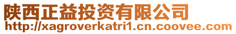 陜西正益投資有限公司