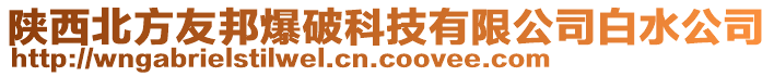 陕西北方友邦爆破科技有限公司白水公司