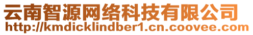 云南智源網(wǎng)絡(luò)科技有限公司