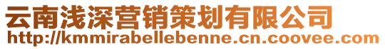 云南淺深營銷策劃有限公司