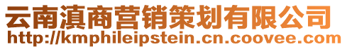 云南滇商營銷策劃有限公司