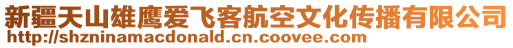 新疆天山雄鷹愛(ài)飛客航空文化傳播有限公司