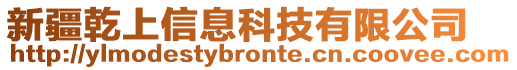 新疆乾上信息科技有限公司