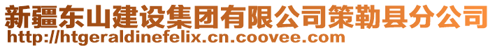 新疆東山建設集團有限公司策勒縣分公司