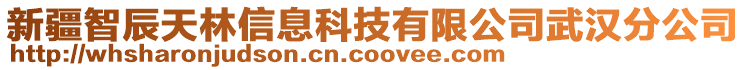 新疆智辰天林信息科技有限公司武漢分公司