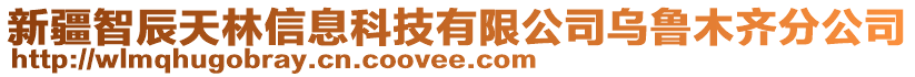 新疆智辰天林信息科技有限公司烏魯木齊分公司