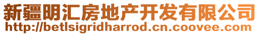 新疆明匯房地產(chǎn)開(kāi)發(fā)有限公司