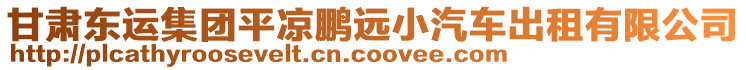 甘肅東運(yùn)集團(tuán)平?jīng)鳄i遠(yuǎn)小汽車出租有限公司