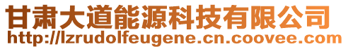 甘肅大道能源科技有限公司