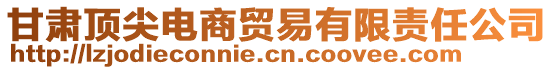 甘肅頂尖電商貿(mào)易有限責(zé)任公司