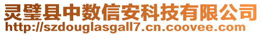 靈璧縣中數(shù)信安科技有限公司