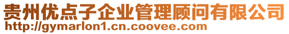 貴州優(yōu)點(diǎn)子企業(yè)管理顧問(wèn)有限公司