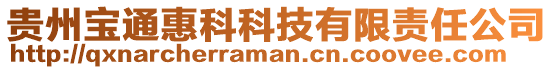 貴州寶通惠科科技有限責任公司