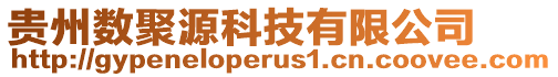 貴州數(shù)聚源科技有限公司