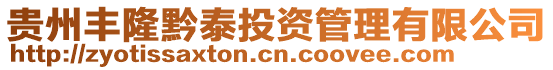 貴州豐隆黔泰投資管理有限公司