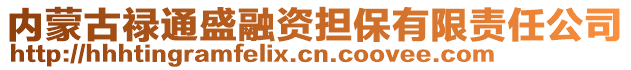 內(nèi)蒙古祿通盛融資擔(dān)保有限責(zé)任公司