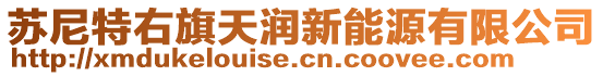 蘇尼特右旗天潤新能源有限公司