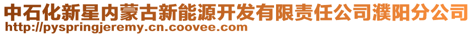 中石化新星內(nèi)蒙古新能源開發(fā)有限責(zé)任公司濮陽(yáng)分公司