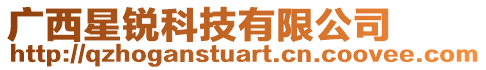 廣西星銳科技有限公司