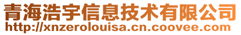 青海浩宇信息技術(shù)有限公司