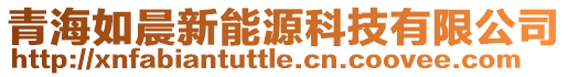 青海如晨新能源科技有限公司