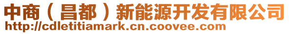 中商（昌都）新能源開發有限公司