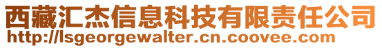 西藏匯杰信息科技有限責任公司