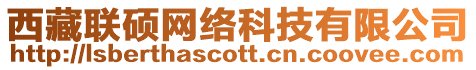 西藏聯(lián)碩網(wǎng)絡(luò)科技有限公司