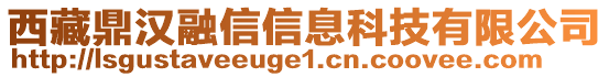 西藏鼎漢融信信息科技有限公司