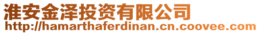 淮安金澤投資有限公司