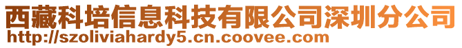 西藏科培信息科技有限公司深圳分公司