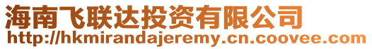 海南飛聯(lián)達(dá)投資有限公司