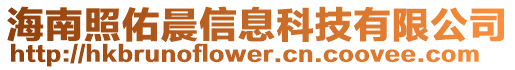 海南照佑晨信息科技有限公司