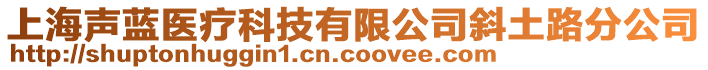 上海聲藍醫療科技有限公司斜土路分公司