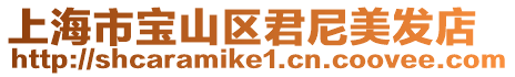 上海市寶山區君尼美發店