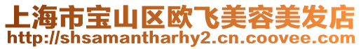 上海市寶山區(qū)歐飛美容美發(fā)店