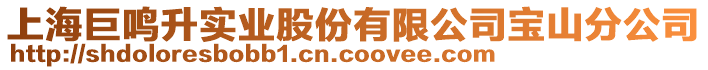 上海巨鳴升實(shí)業(yè)股份有限公司寶山分公司