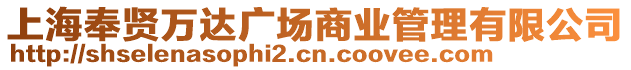 上海奉賢萬達廣場商業管理有限公司