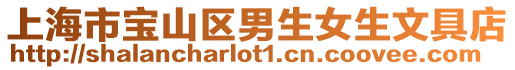 上海市寶山區男生女生文具店