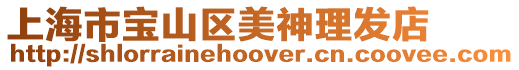上海市寶山區美神理發店