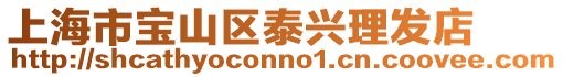 上海市寶山區泰興理發店