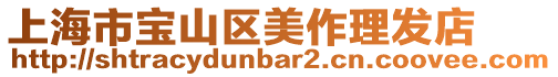 上海市寶山區(qū)美作理發(fā)店