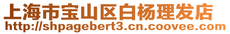上海市寶山區白楊理發店