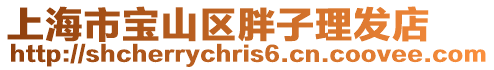 上海市寶山區胖子理發店
