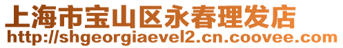 上海市寶山區(qū)永春理發(fā)店