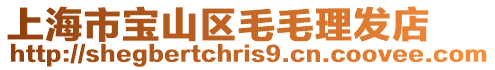 上海市寶山區毛毛理發店