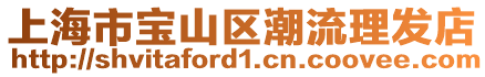 上海市寶山區(qū)潮流理發(fā)店
