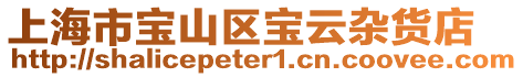 上海市寶山區寶云雜貨店